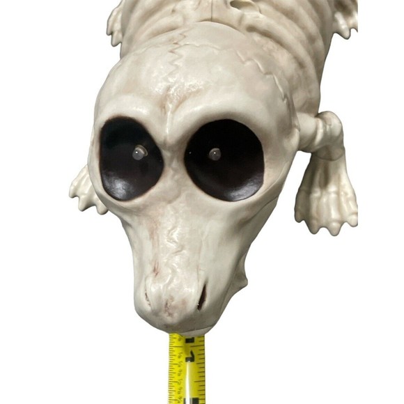 SEASONS CRAZY BONES 11" Long Alligator Skeleton Halloween Spooky Decorations - Picture 10 of 11